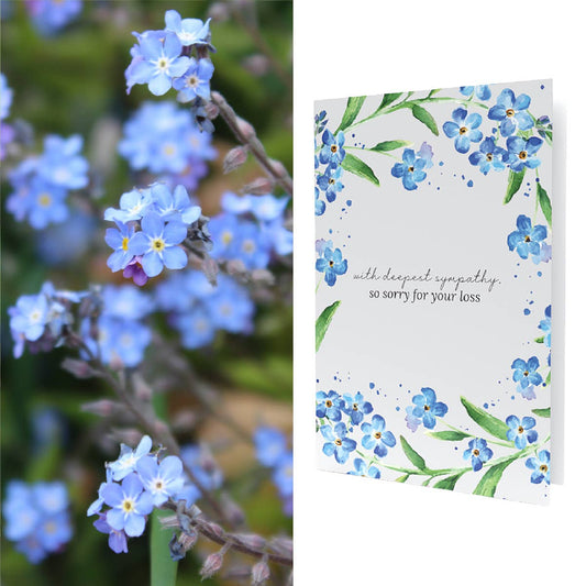 Forget-Me-Not Seed Sympathy Card